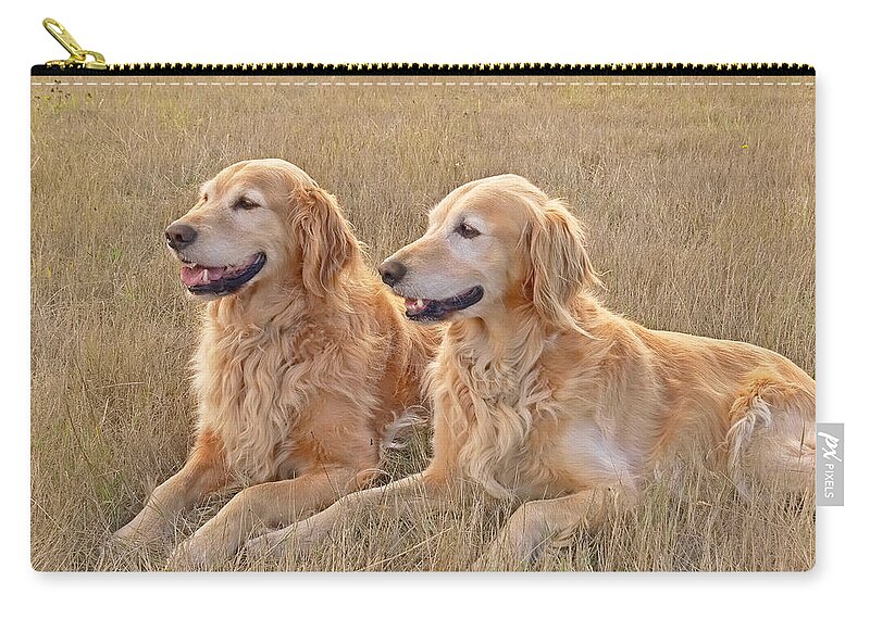 Golden Retriever Zip Pouch featuring the photograph Golden Retrievers in Golden Field by Jennie Marie Schell