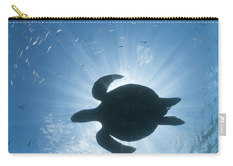 536791 Zip Pouch featuring the photograph Green Sea Turtle Galapagos Islands #2 by Tui De Roy