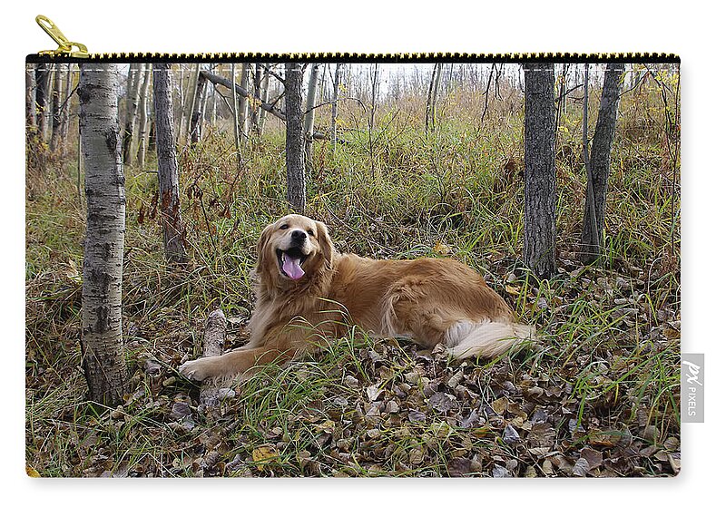 Pets Zip Pouch featuring the photograph Happiness Is #1 by Rhonda McDougall