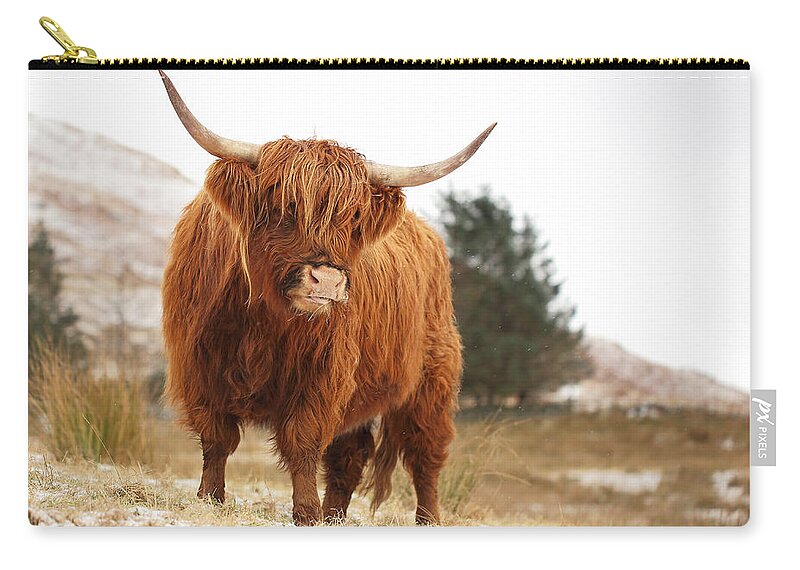 Highland Cattle Carry-all Pouch featuring the photograph Highland Cow by Grant Glendinning