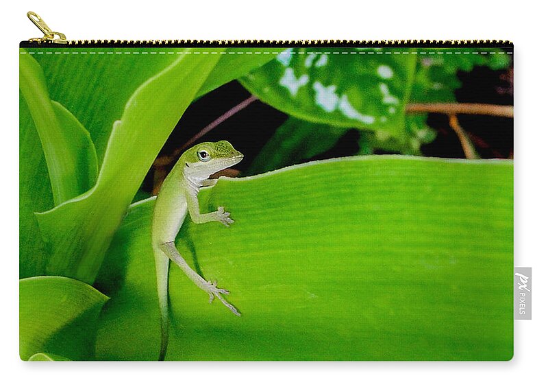 Lizard Zip Pouch featuring the photograph It's Easy Being Green #2 by TK Goforth