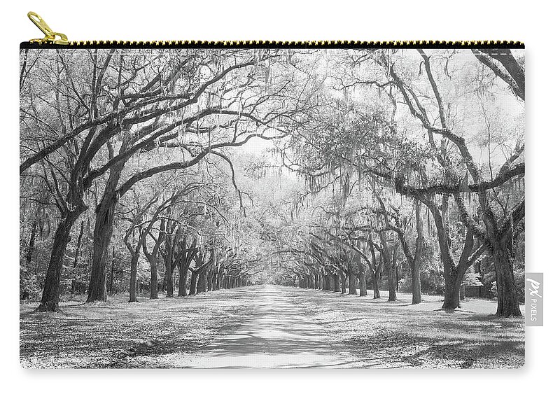 Photography Zip Pouch featuring the photograph Live Oaks And Spanish Moss Wormsloe #2 by Panoramic Images