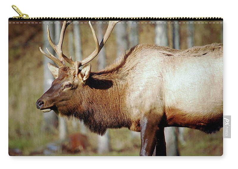 Male Elk Zip Pouch featuring the photograph Male Elk by Crystal Wightman