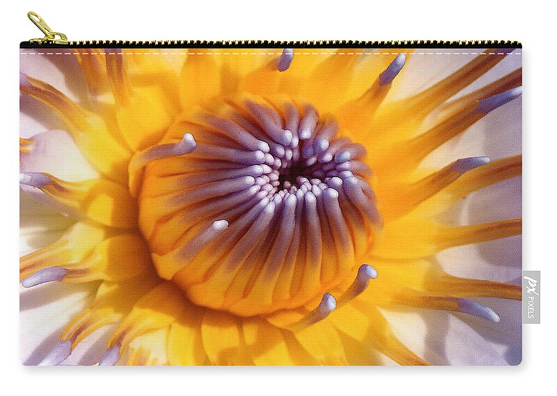 Lotus Lily Zip Pouch featuring the photograph Lotus Lily by Jocelyn Kahawai