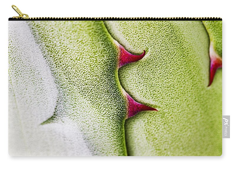 Leaf Zip Pouch featuring the photograph Natures Ornaments #2 by Heiko Koehrer-Wagner