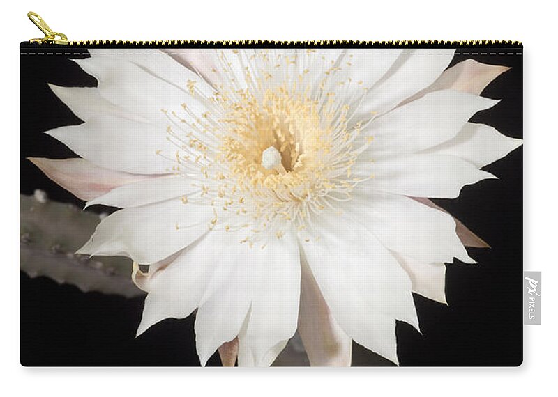 At Night Zip Pouch featuring the photograph Night-blooming Cereus #2 by Craig K. Lorenz