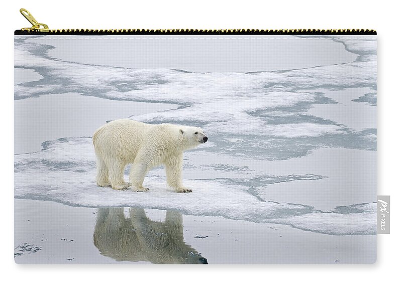 Flpa Zip Pouch featuring the photograph Polar Bear On Sea Ice Spitzbergen #2 by Dickie Duckett