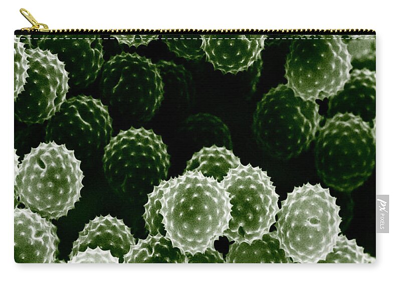 Allergen Zip Pouch featuring the photograph Ragweed Pollen Sem by David M. Phillips / The Population Council