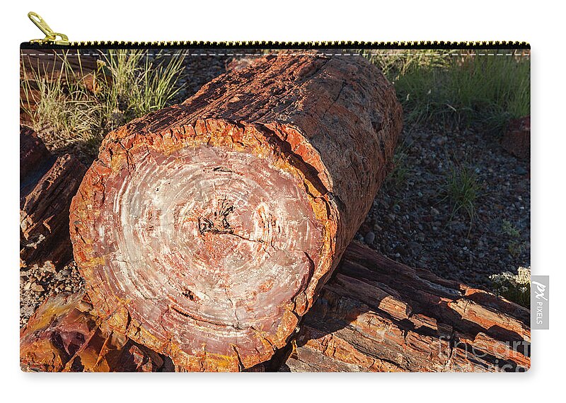 Arizona Zip Pouch featuring the photograph Rainbow Forest Petrified Forest National Park #2 by Fred Stearns
