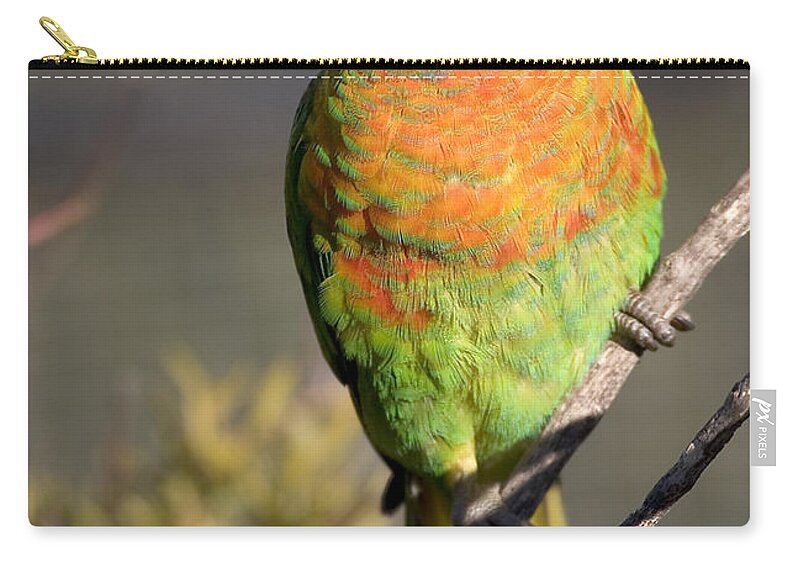 Lorikeets Carry-all Pouch featuring the photograph Rainbow lorikeet by Steven Ralser