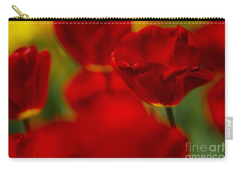 Tulip Carry-all Pouch featuring the photograph Red and Yellow Tulips by Nailia Schwarz