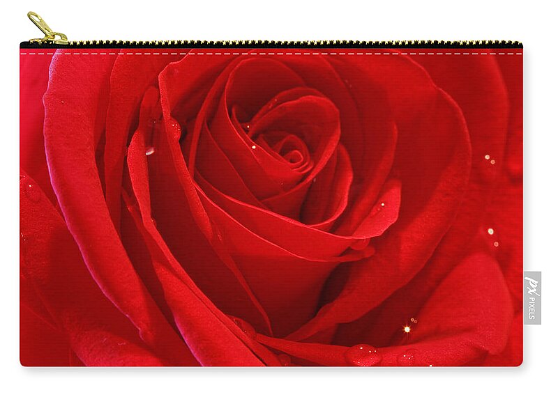 Background Zip Pouch featuring the photograph Red Rose #2 by Peter Lakomy