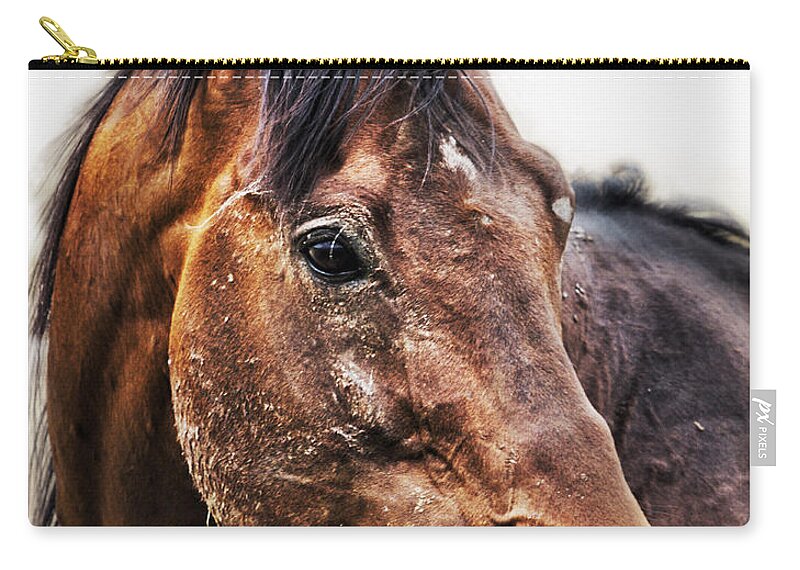 Horse Zip Pouch featuring the photograph Resilience by Belinda Greb