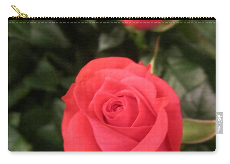 Flowerromance Zip Pouch featuring the photograph Roses in Red #2 by Rosita Larsson