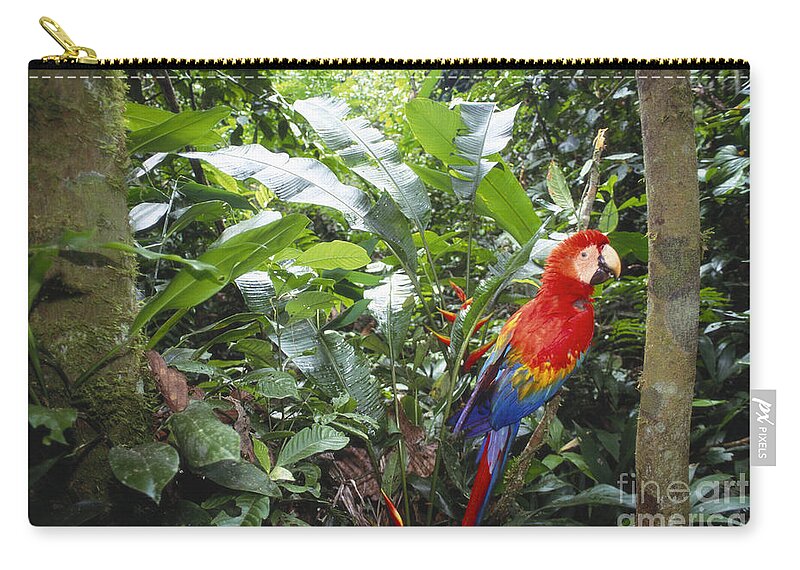 Full Length Carry-all Pouch featuring the photograph Scarlet Macaw by Art Wolfe
