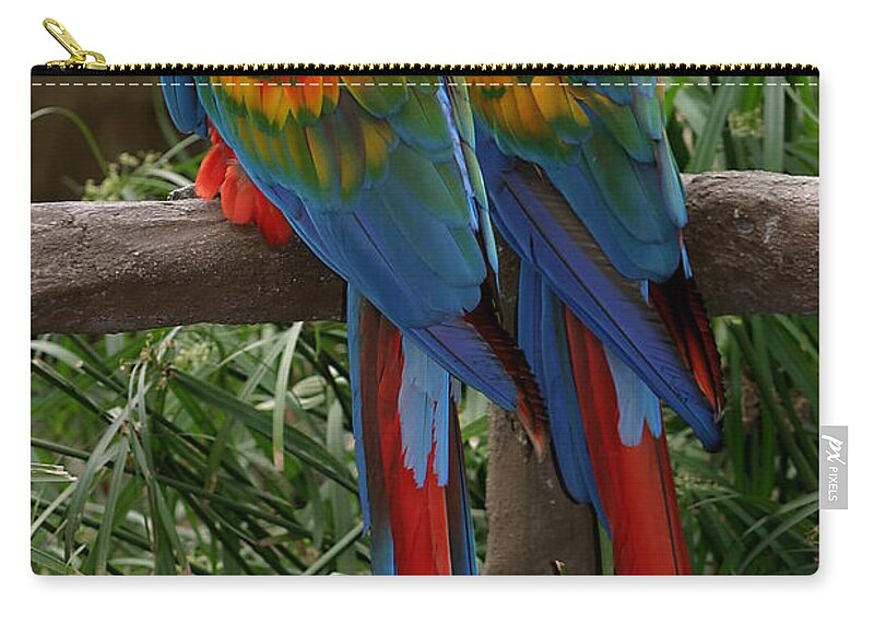 Red Zip Pouch featuring the photograph Scarlet Macaws #2 by Henrik Lehnerer