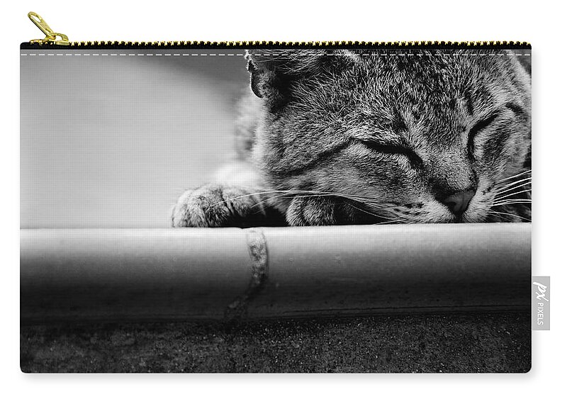 Cat Zip Pouch featuring the photograph Sleeping #2 by Laura Melis