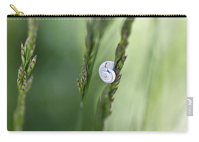 Snail Zip Pouch featuring the photograph Snail on Grass by Nailia Schwarz