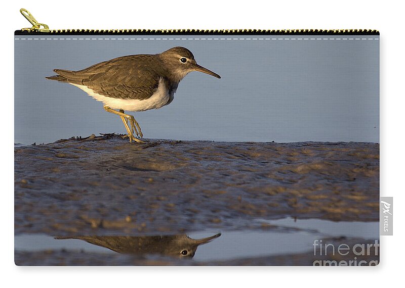 Spotted Sandpiper Zip Pouch featuring the photograph Spotted Sandpiper Reflection #2 by Meg Rousher