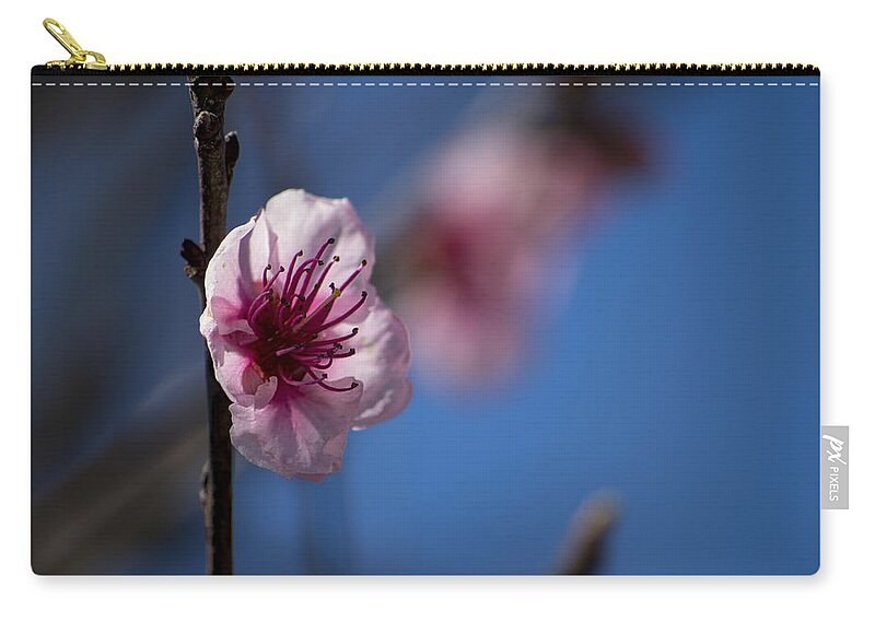 Beautiful Zip Pouch featuring the photograph The spring is coming #2 by Paulo Goncalves