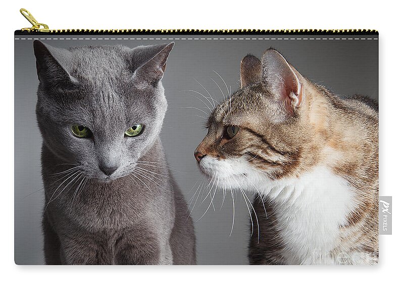 Cat Carry-all Pouch featuring the photograph Two Cats by Nailia Schwarz