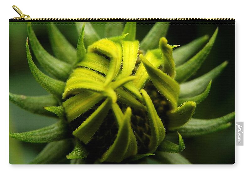 Flower Zip Pouch featuring the photograph Waiting #3 by Zinvolle Art