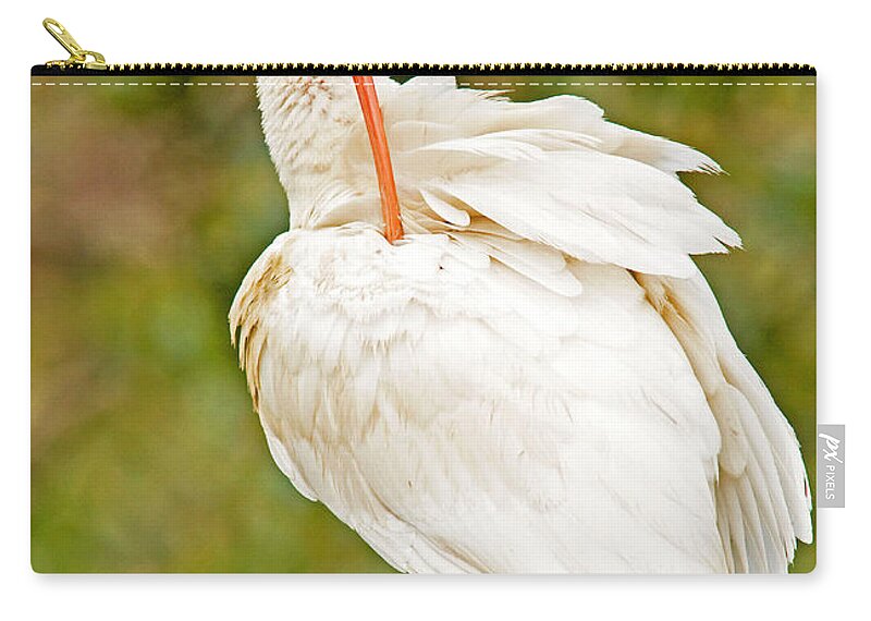 Nature Zip Pouch featuring the photograph White Ibis #2 by Millard H. Sharp