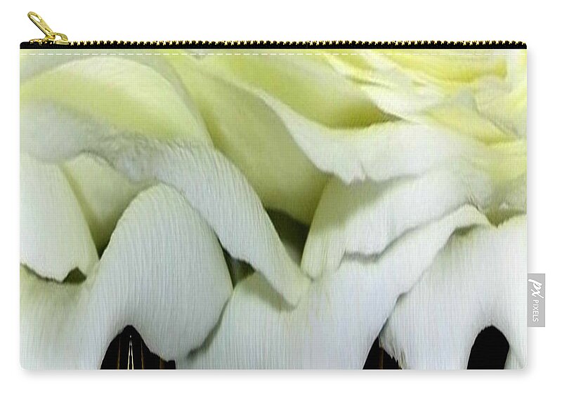 Roses Zip Pouch featuring the photograph White Rose Polar Coordinates #2 by Rose Santuci-Sofranko