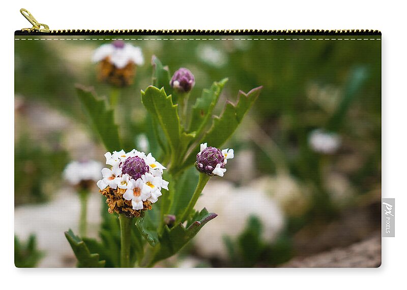 Stem Zip Pouch featuring the photograph Wild flower Weeds by Melinda Ledsome