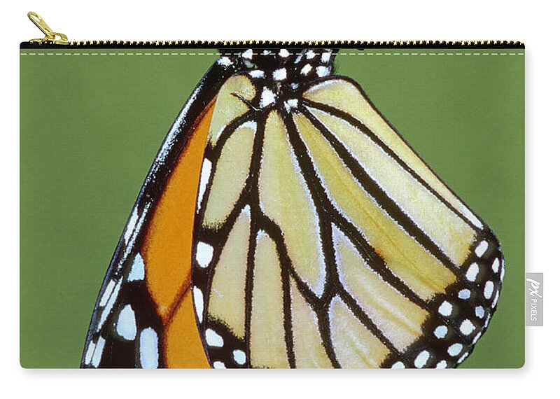 Monarch Butterfly Zip Pouch featuring the photograph Monarch Butterfly #23 by Millard H. Sharp