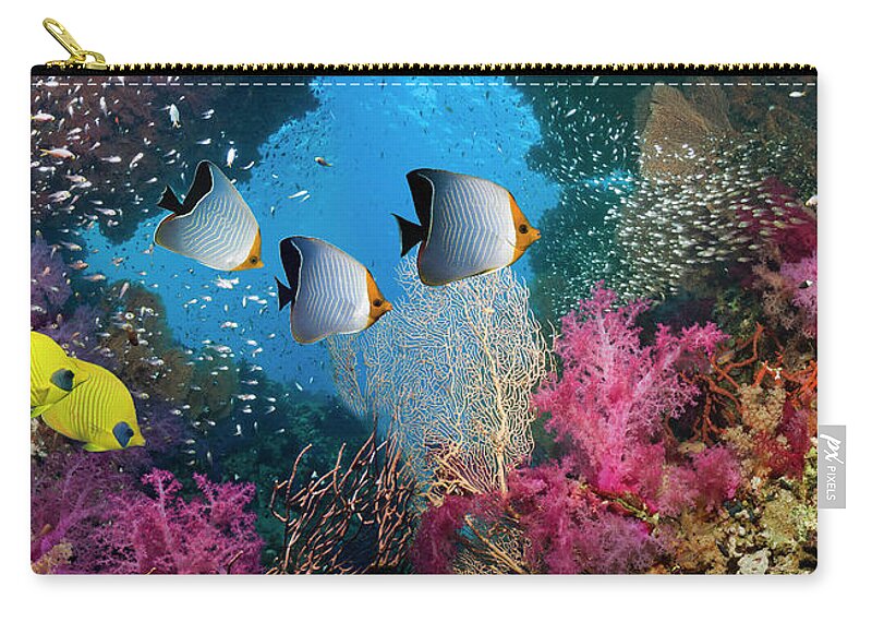 Tranquility Zip Pouch featuring the photograph Coral Reef Scenery #25 by Georgette Douwma