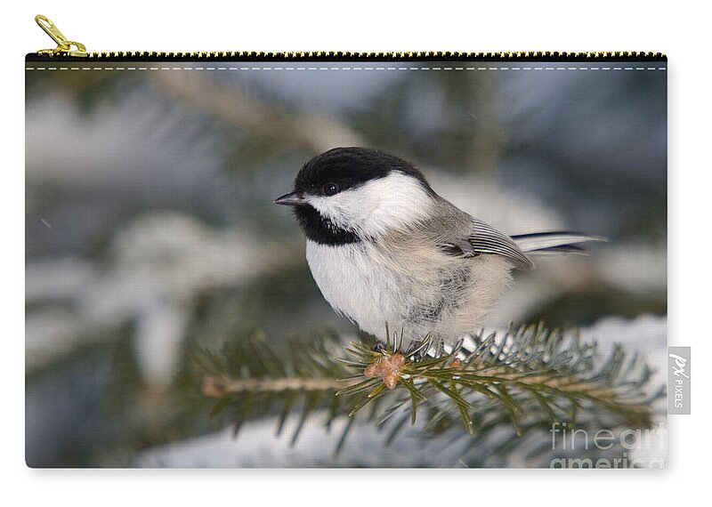 North America Zip Pouch featuring the photograph Black-capped Chickadee #28 by Linda Freshwaters Arndt