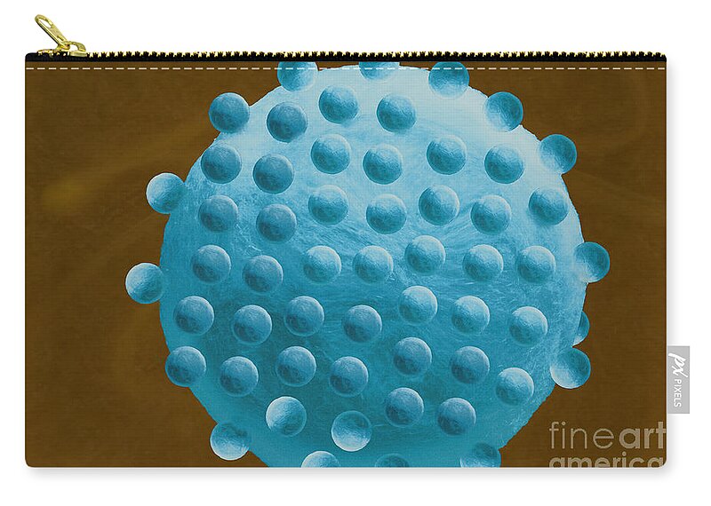 Science Zip Pouch featuring the photograph Aids Virus, Artwork #3 by Sigrid Gombert