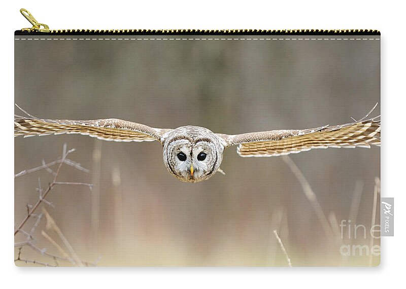 Barred Owl Zip Pouch featuring the photograph Barred Owl In Flight #5 by Scott Linstead