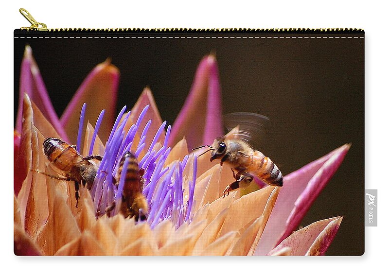 Insects Zip Pouch featuring the photograph Bees in the Artichoke by AJ Schibig