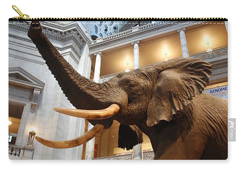 Bull Elephant Zip Pouch featuring the photograph Bull Elephant in Natural History Rotunda by Kenny Glover