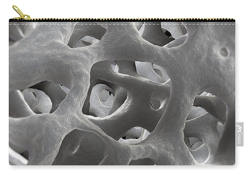 Bone Zip Pouch featuring the photograph Cancellous Bone #3 by Science Picture Co
