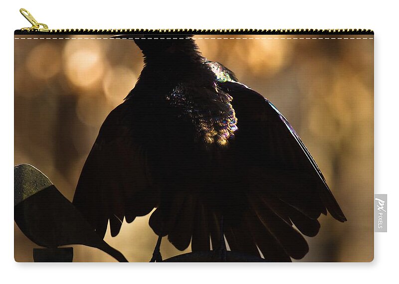 Common Grackle Zip Pouch featuring the photograph Common Grackle #3 by Robert L Jackson