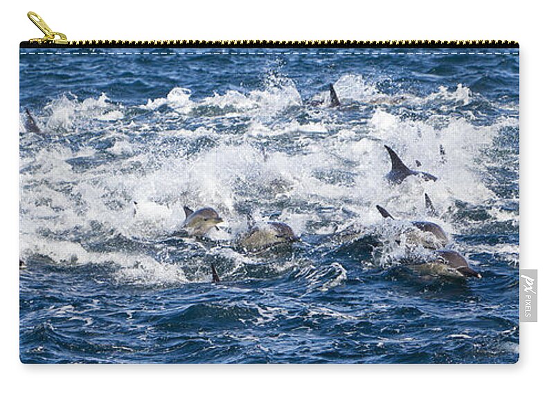 Long-beaked Common Dolphin Zip Pouch featuring the photograph Long-beaked Common Dolphins #3 by M. Watson