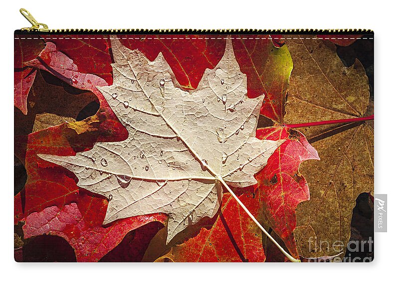 Fall Zip Pouch featuring the photograph Maple leaves in water by Elena Elisseeva