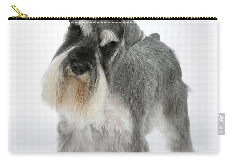 Dog Carry-all Pouch featuring the photograph Miniature Schnauzer by John Daniels