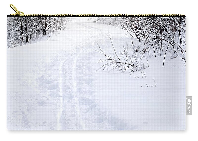 Winter Zip Pouch featuring the photograph Path in winter forest 2 by Elena Elisseeva