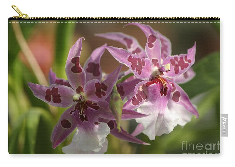 Orchids Zip Pouch featuring the photograph Pretty In PInk #3 by Living Color Photography Lorraine Lynch
