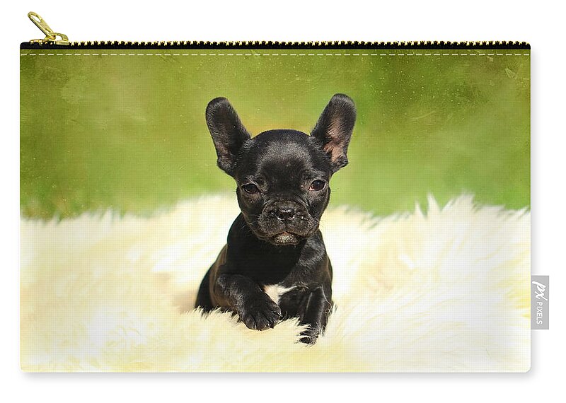 French Bulldogs Zip Pouch featuring the photograph Puppies #3 by Heike Hultsch