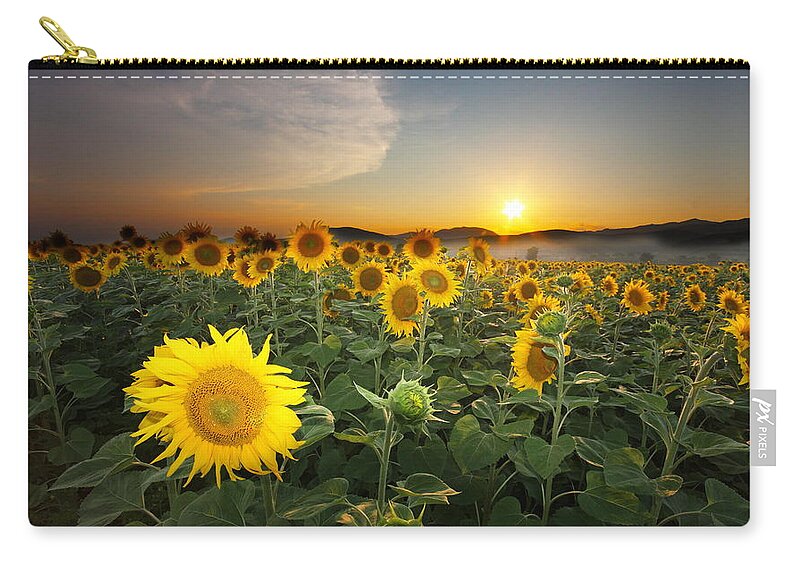 Summer Zip Pouch featuring the photograph Summer Morning #3 by Mircea Costina Photography