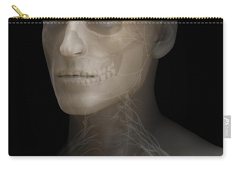 Male Zip Pouch featuring the photograph The Brain And Nerves #3 by Science Picture Co