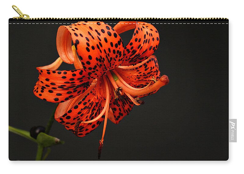 Flower Zip Pouch featuring the photograph Tiger Lily #3 by Sandy Keeton
