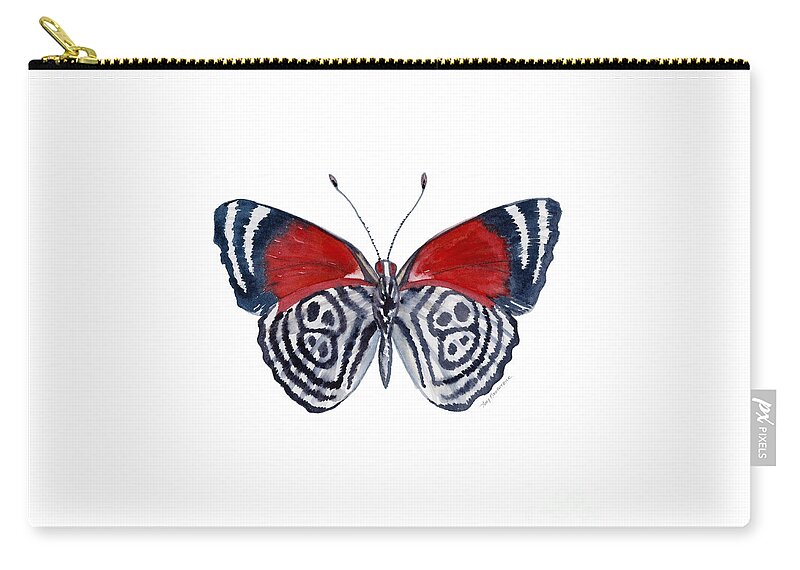 Diathria Zip Pouch featuring the painting 37 Diathria Clymena Butterfly by Amy Kirkpatrick