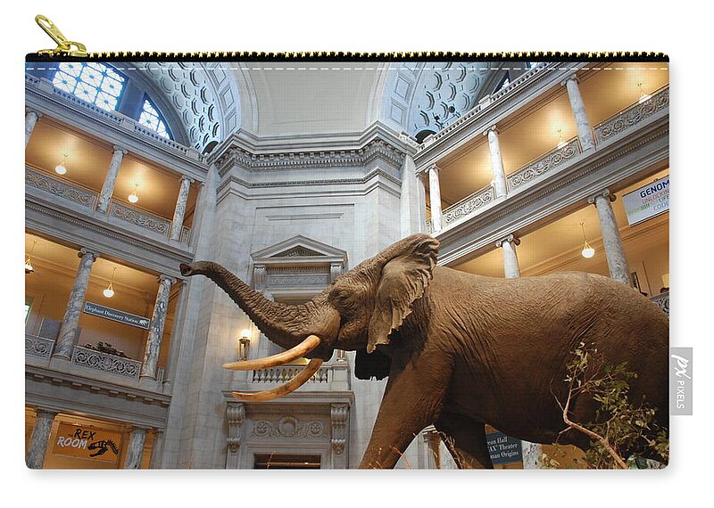 Bull Elephant Carry-all Pouch featuring the photograph Bull Elephant in Natural History Rotunda by Kenny Glover