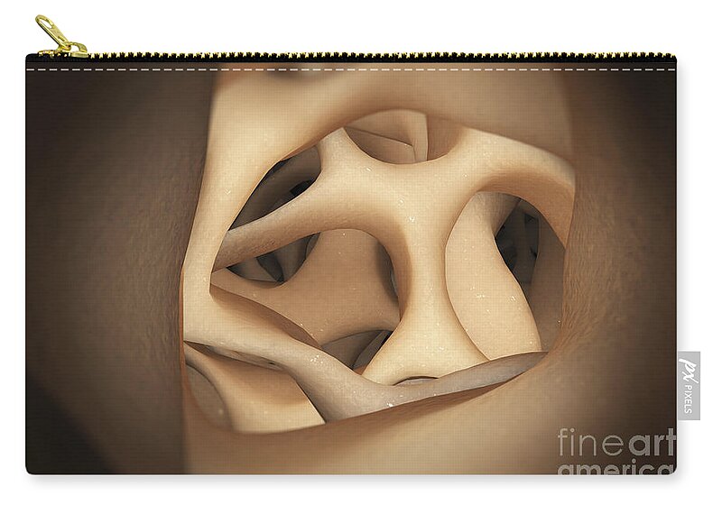 Bone Zip Pouch featuring the photograph Cancellous Bone #4 by Science Picture Co